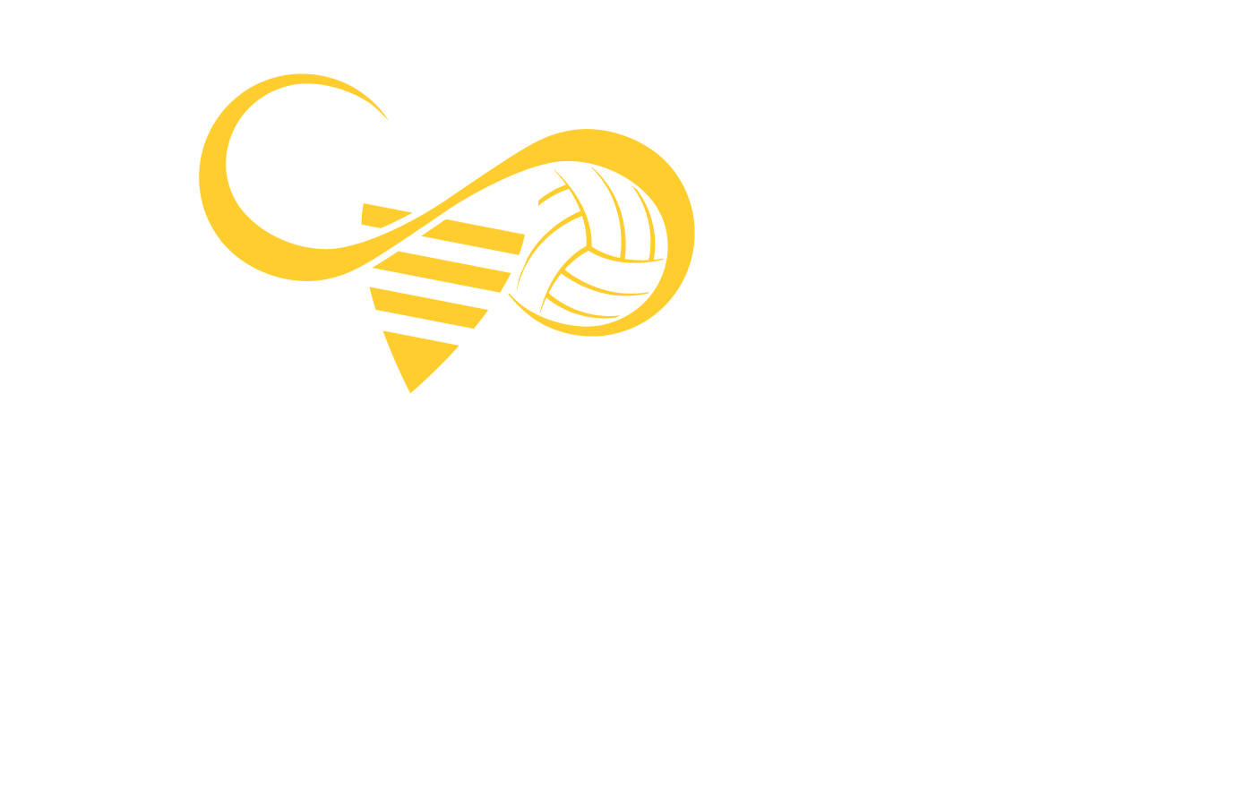 Stinger Volleyball Logo